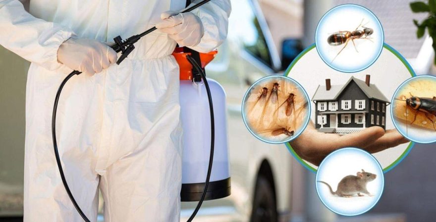 Karatay Böcek İlaçlama