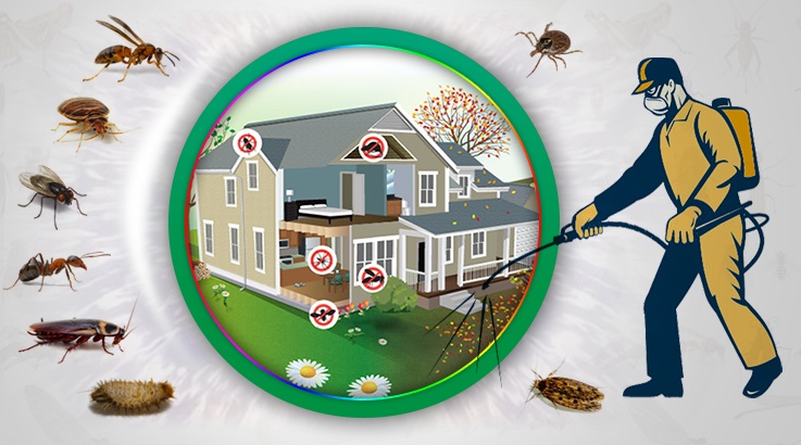 Karatay Böcek İlaçlama