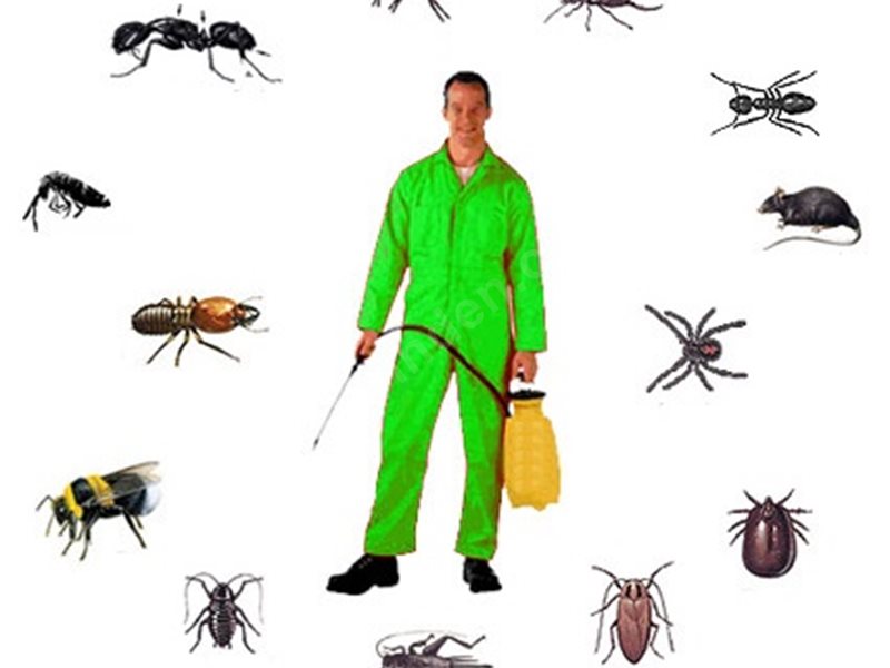 Karatay Böcek İlaçlama